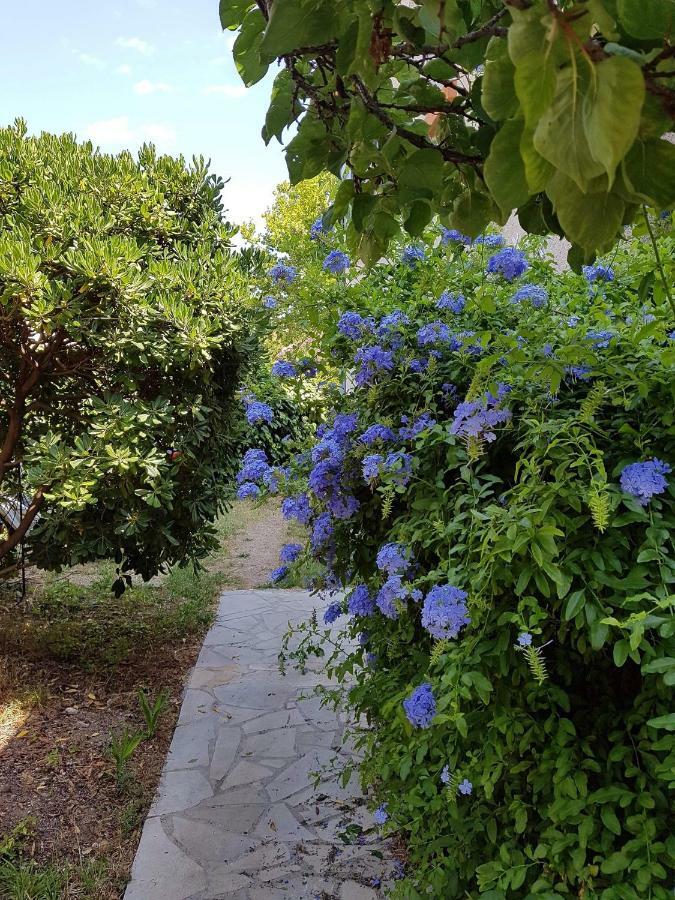 2 Appartements Calmes Fréjus Exteriér fotografie