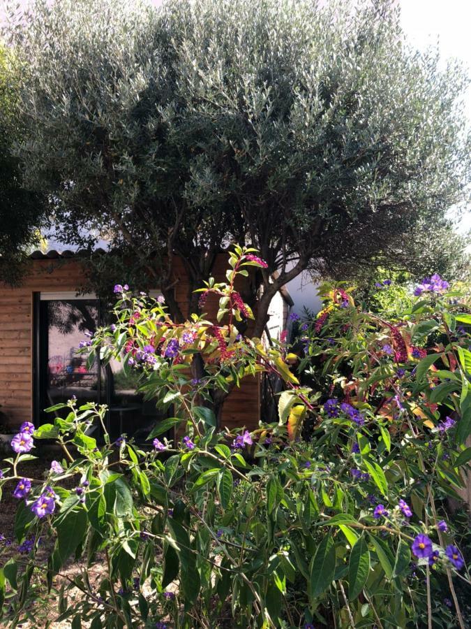 2 Appartements Calmes Fréjus Exteriér fotografie